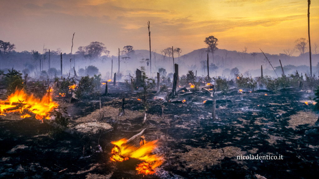 Un'immagine drammatica dell'amazzonia in fiamme: la foresta ridotta ad alberi mozzi e bruciati, il cielo ingiallito dal fumo, focolai ancora accesi che fanno capolino nella selva