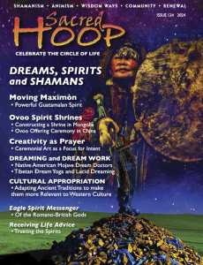 Copertina di sacred hoop 124