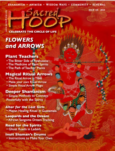 Copertina di sacred hoop 125