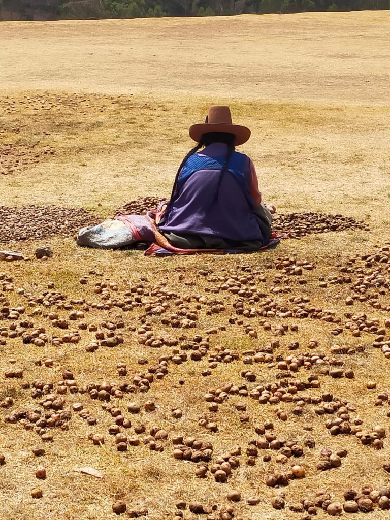 Perù ritmo andino