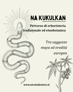 Erboristeria sciamanesimo curanderismo