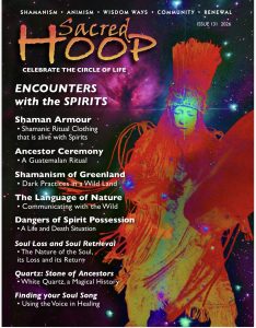 Copertina del numero 131 di Sacred Hoop