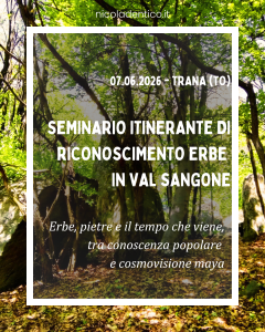 Locandina evento di riconoscimento erbe a Trana