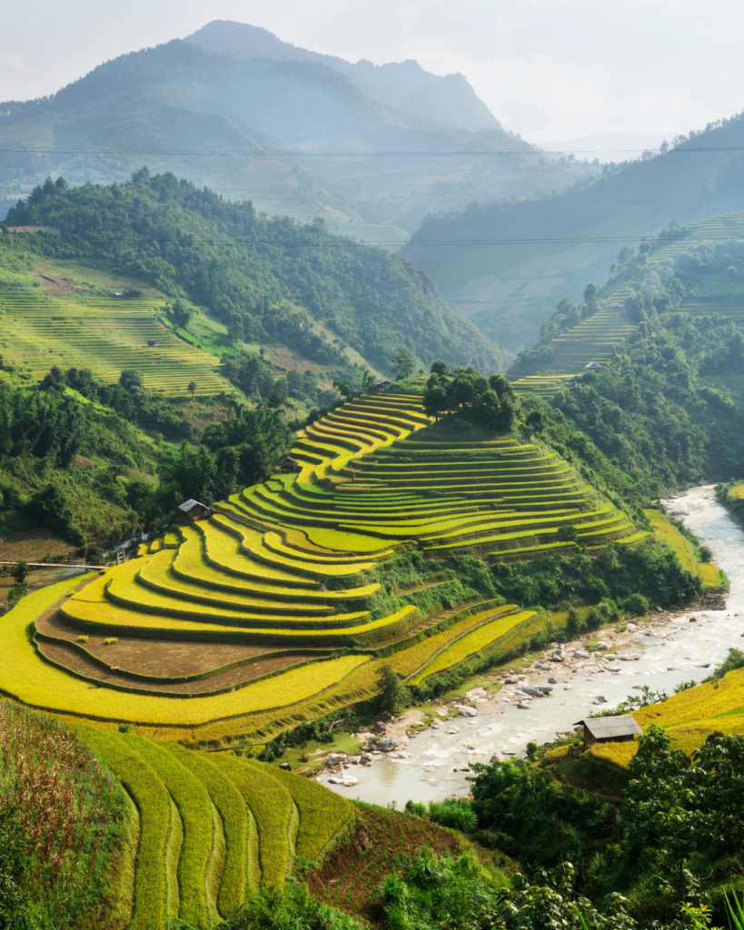 Uno scorcio del Vietnam